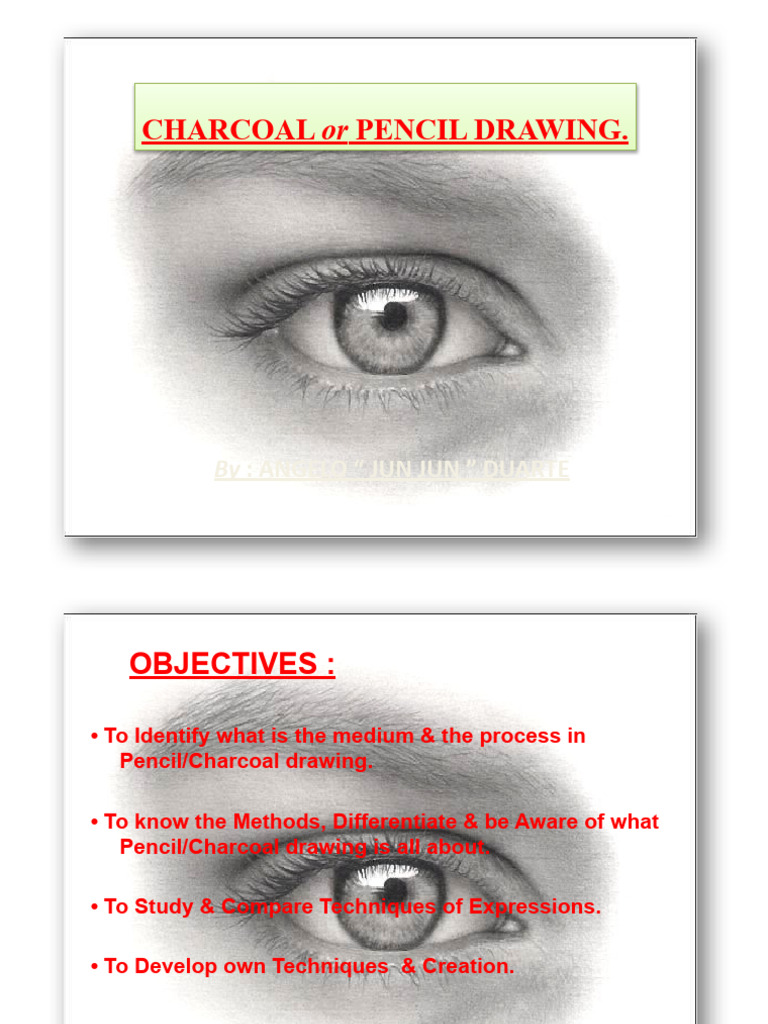 CharcoalPencil Drawing '11 PDF