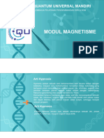 Modul Magnetisme