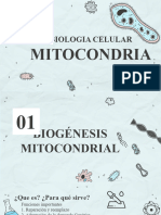 Mitocondria PDF