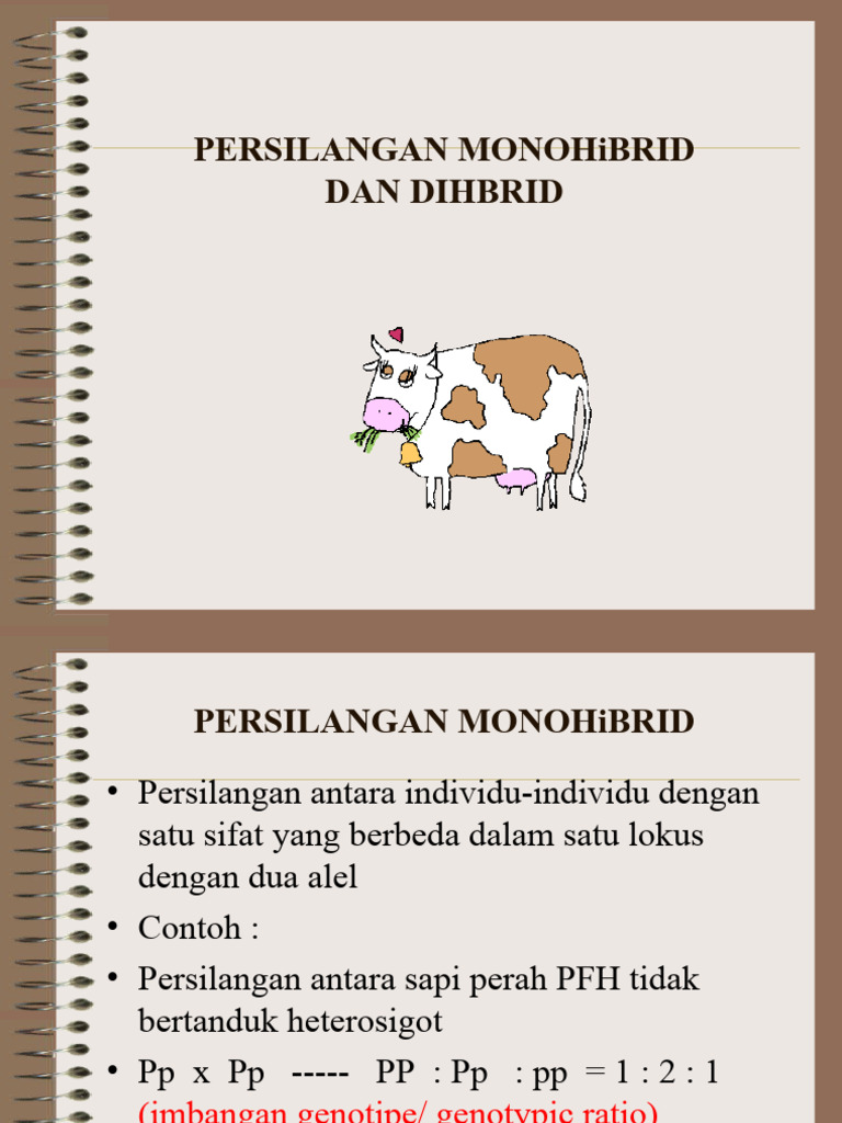 Pert 8 Dan 9 | PDF