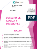 Capítulo 14 - Derecho de Familia y Sucesiones