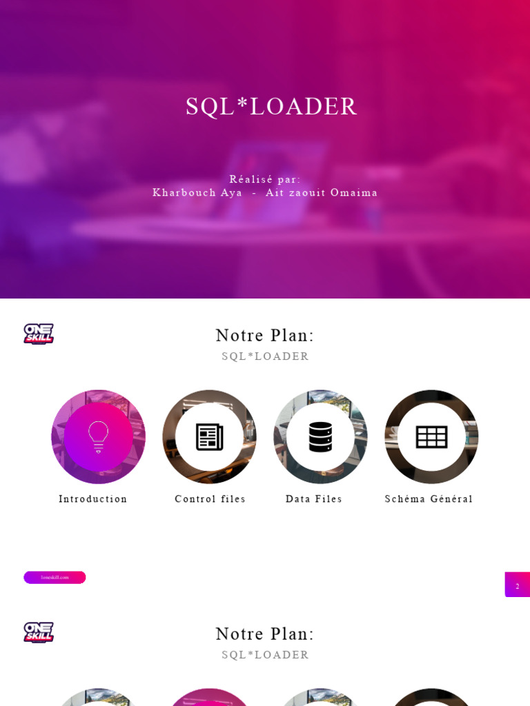 Guide complet sur SQL*Loader Oracle | PDF | Fichier informatique ...