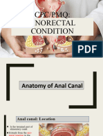 Anorectal Condition