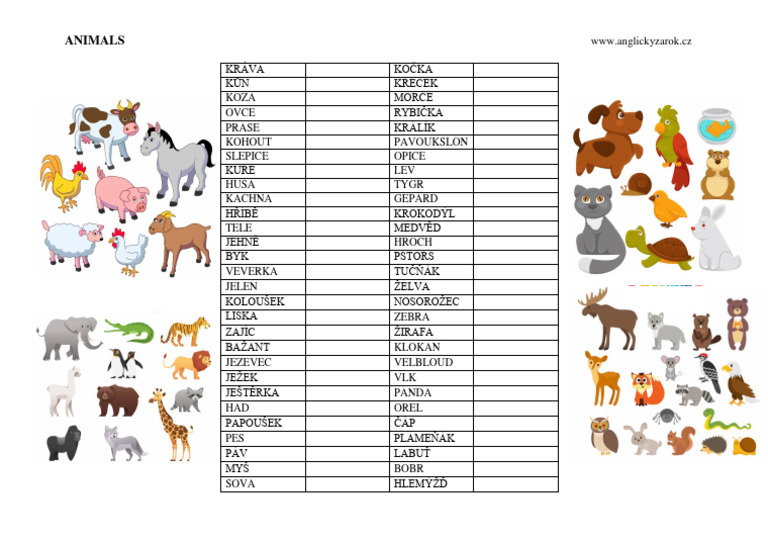 Animals | PDF
