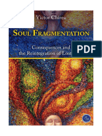 Soul Fragmentation, Victor Chirea