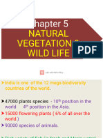 Natural Vegetation Wildlife