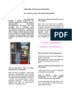 Interview Skultetyova PDF