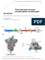 Ciência e Saúde - Coronavirus