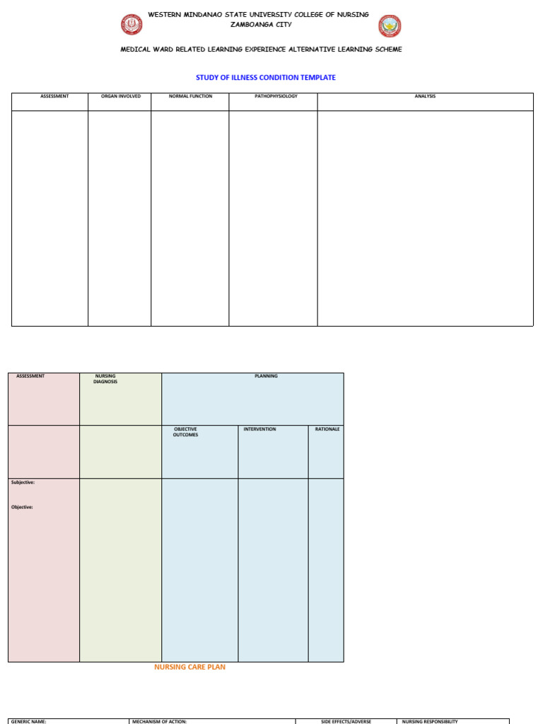 Diosmin PDF Hemorrhoid Nursing