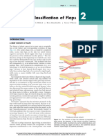 Classification of Flaps