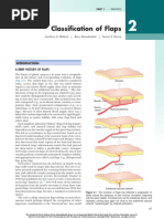 Reconstructive Ladder in Plastic Surgery | PDF | Wound | Medical ...