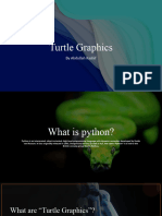 Turtle Graphics