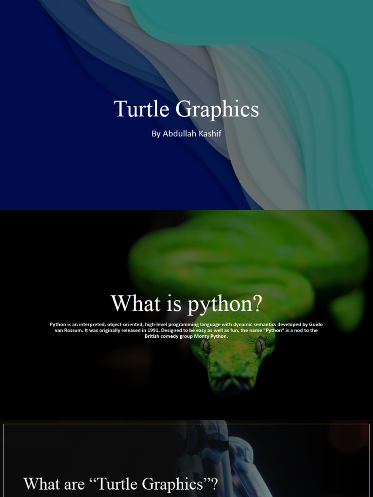 Turtle Graphics | PDF | Python (Programming Language) | Programming ...