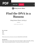 Find The DNA in A Banana - Scientific American