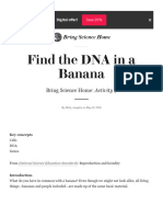 Find The DNA in A Banana - Scientific American