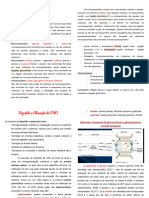 Resumo P2 Bioquímica