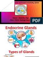 Mudrika Yogi Endocrine Glands