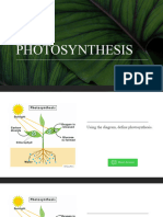 Week 3 Photosynthesis