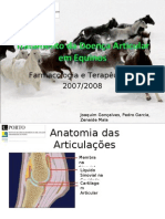 Tratamento Da Doença Articular em Equinosa