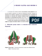 Revision - Músculos Da Região Glútea Que Movem o Fêmur