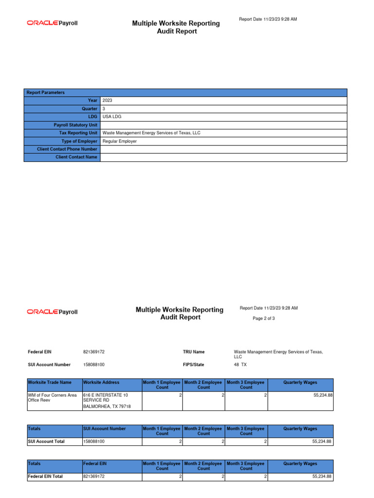 Multiple Worksite Audit Report PDF Payroll Tax Employment