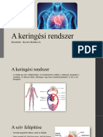 A Keringési Rendszer