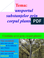 Transportul Substanțelor Prin Corpul Plantelor