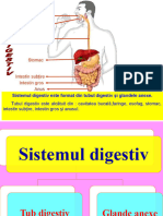 Poziția, Funcția Și Igiena Sistemelor Cu Funcție de Nutriție