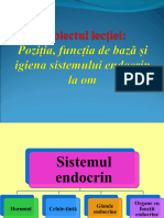 Poziția, Funcția de Bază Și Igiena Sistemului Endocrin La Om