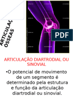 10-Articulacoes Osseas 4