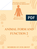 Presentation. Lec 11. Animal and Function 2