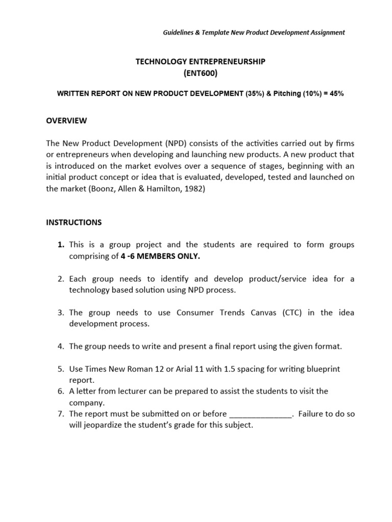 NPD Assignment Guidelines & Template | PDF | New Product Development | Data