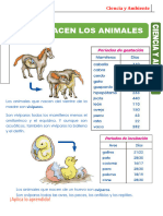 Ciencia y Tecnologia 2 23-11