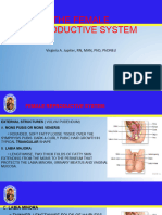 Female and Male Reproductive Sytem
