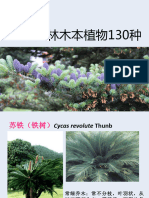 风景园林植物课程资料 木本植物130种
