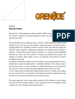 Individual Report-Grenade Ltd.