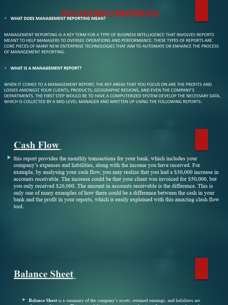 Management Reporting Pdf Balance Sheet Business