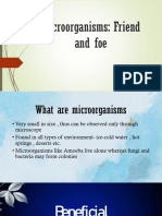 Microorganisms and Its Types