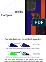 Major Histocompatibility Complex