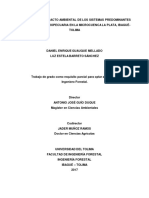 Evaluación Del Impacto Ambiental de Los Sistemas Predominantes de Producción Agropecuaria en La Microcuenca La Plata, Ibagué - Tolima