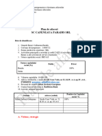 Model Plan de Afaceri Editabil