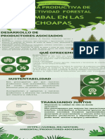 Cadena Productiva de Una Actividad Forestal - Infografia - U4-Economía Forestal