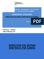 Despido Arbitrario