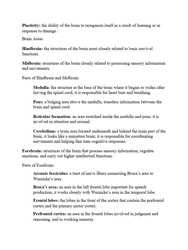 Brain intelligence overview