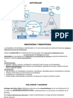 14d. Influenza, HPV 2022