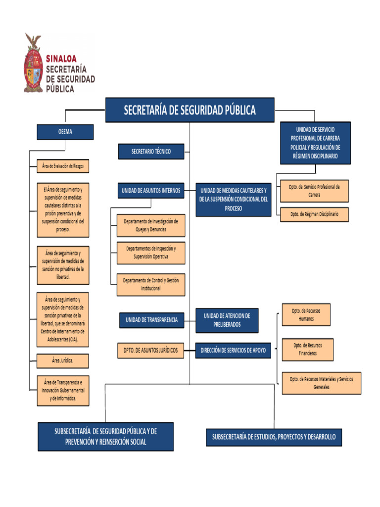 Organigrama de la Seguridad Pública | PDF | Policía | Esfera pública