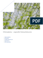 Chloroplasty - Organelle Fotosyntetyczne