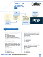 Psicología - Reg 8 - Desarrollo Intelectual