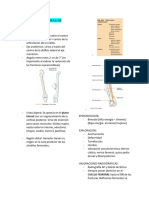 Fractura Diafisiarias de Fémur