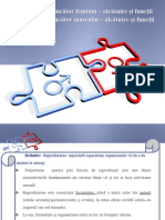 Document PDF